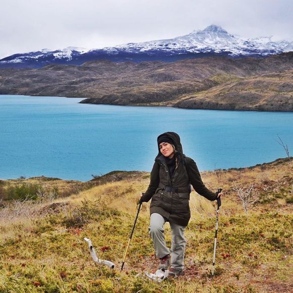 Meet your Posher, Rosie - Picture 1 of 1